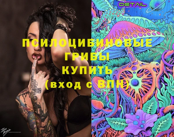 эйфоретик Дмитриев