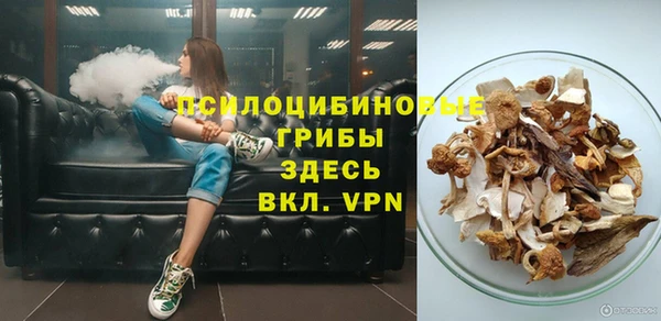 крисы Кодинск