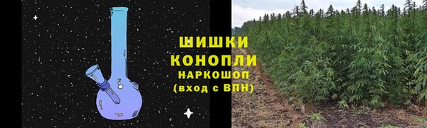 эйфоретик Дмитриев