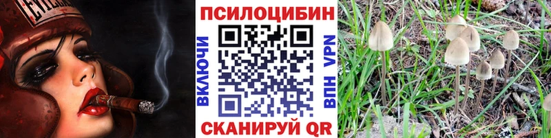 Галлюциногенные грибы Cubensis Тихорецк