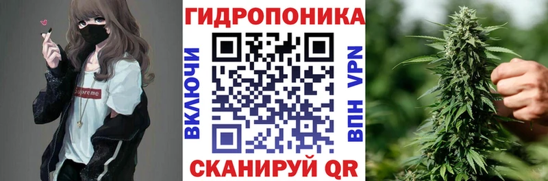 kraken сайт  Тихорецк  Марихуана сатива 